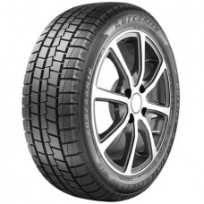 Autogreen WL6 R15 205/65 94Q