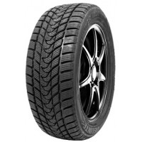 Delinte 215/55 R16 Winter WD1 97T